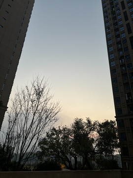 苏可🤍主播照片