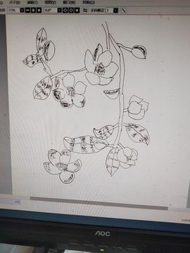 钟铃tina主播照片