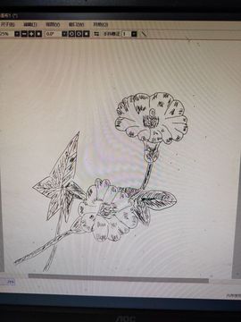 钟铃tina主播照片