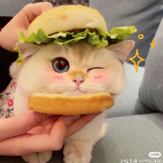 小紫薯🍠