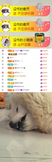 陈慧慧🥕早9晚8主播照片