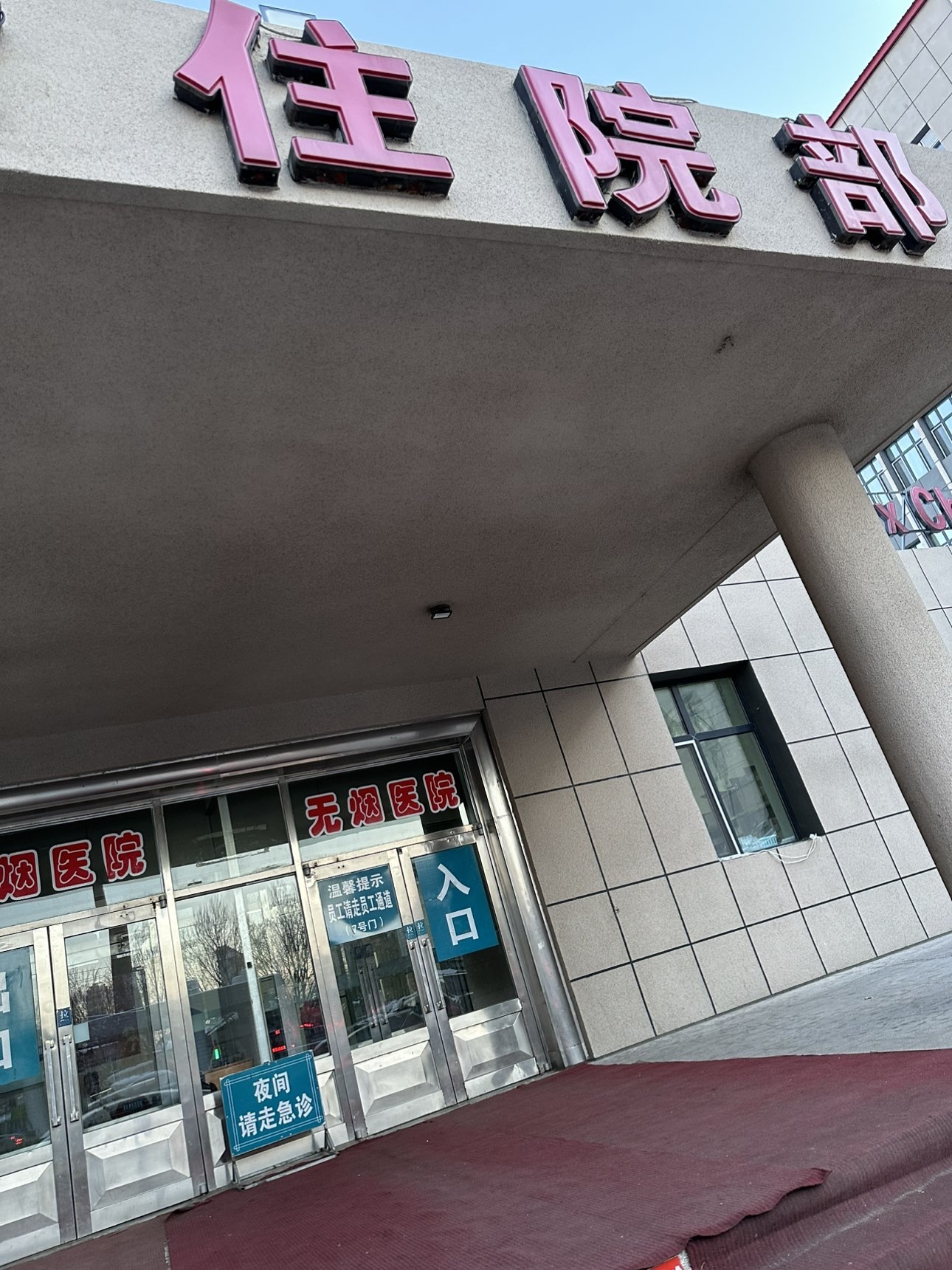 钱多多❥兔子的图片