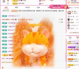 菲儿🌻加油主播照片