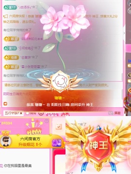 阳阳🌾周日见主播照片