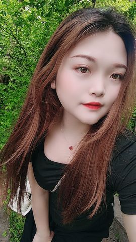 燕儿吃不饱的图片