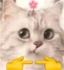 小雪碧💓的图片
