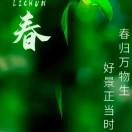 老田lpw