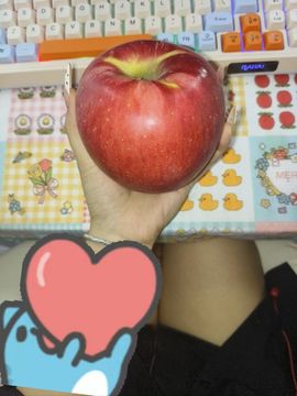 米娜Meena🧸主播照片