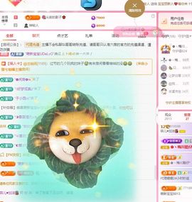 菲儿🌻加油主播照片