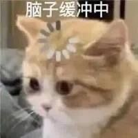 洁儿宝宝~主播照片
