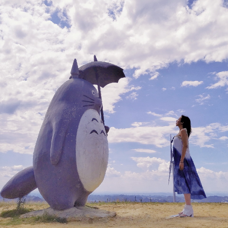 歌声里的文子海报