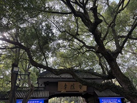 我是圈宝哇🎀主播照片