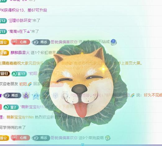 代理心雨天天挨打主播的图片