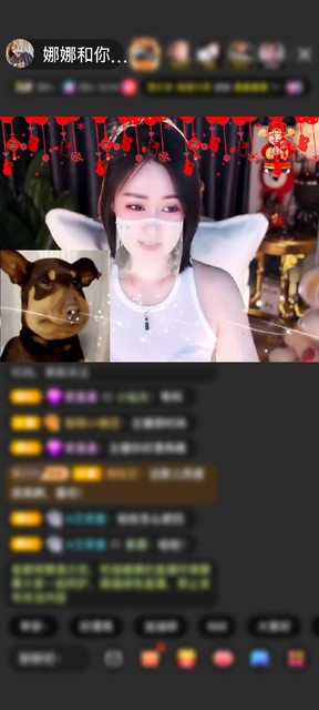 感谢李狗蛋和张二花赠送饿狼传说9个