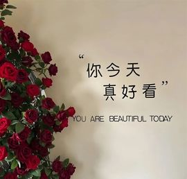 ^艾琳.的图片