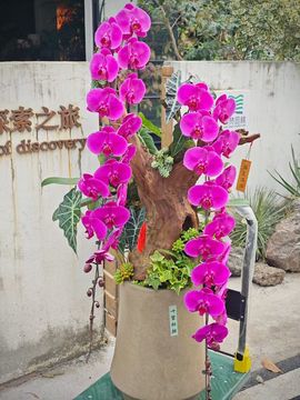 David.。主播照片