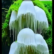 《贝壳》海报