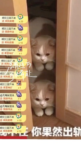 洁儿宝宝~主播照片