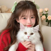 猫猫子💓窈窕淑女