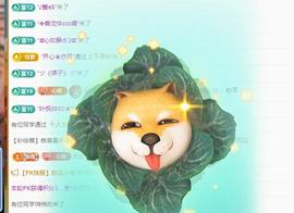 代理心雨有事休一天主播照片