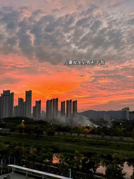 夏至🌸的图片