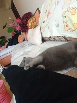 淡漠冰吻w主播照片