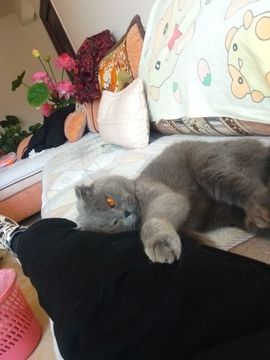 淡漠冰吻w主播照片