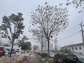 南源呀主播照片