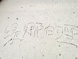 小缇娜主播照片