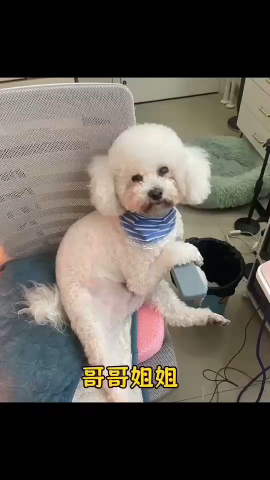 新年快乐我回来了