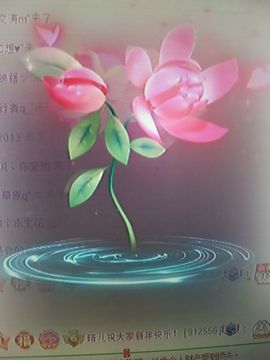 晴儿21的图片
