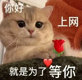 抱抱馨💌主播照片