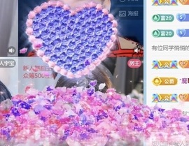 小猫梨梨的图片