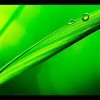 20abfnoqtz的頭像