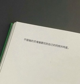 。，。，。.主播照片