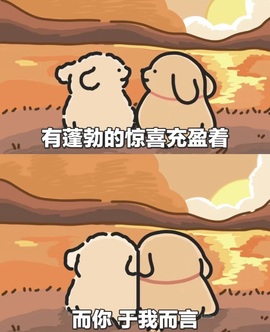 。。。。。。。enx的图片