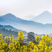 鲜果橙汁海报