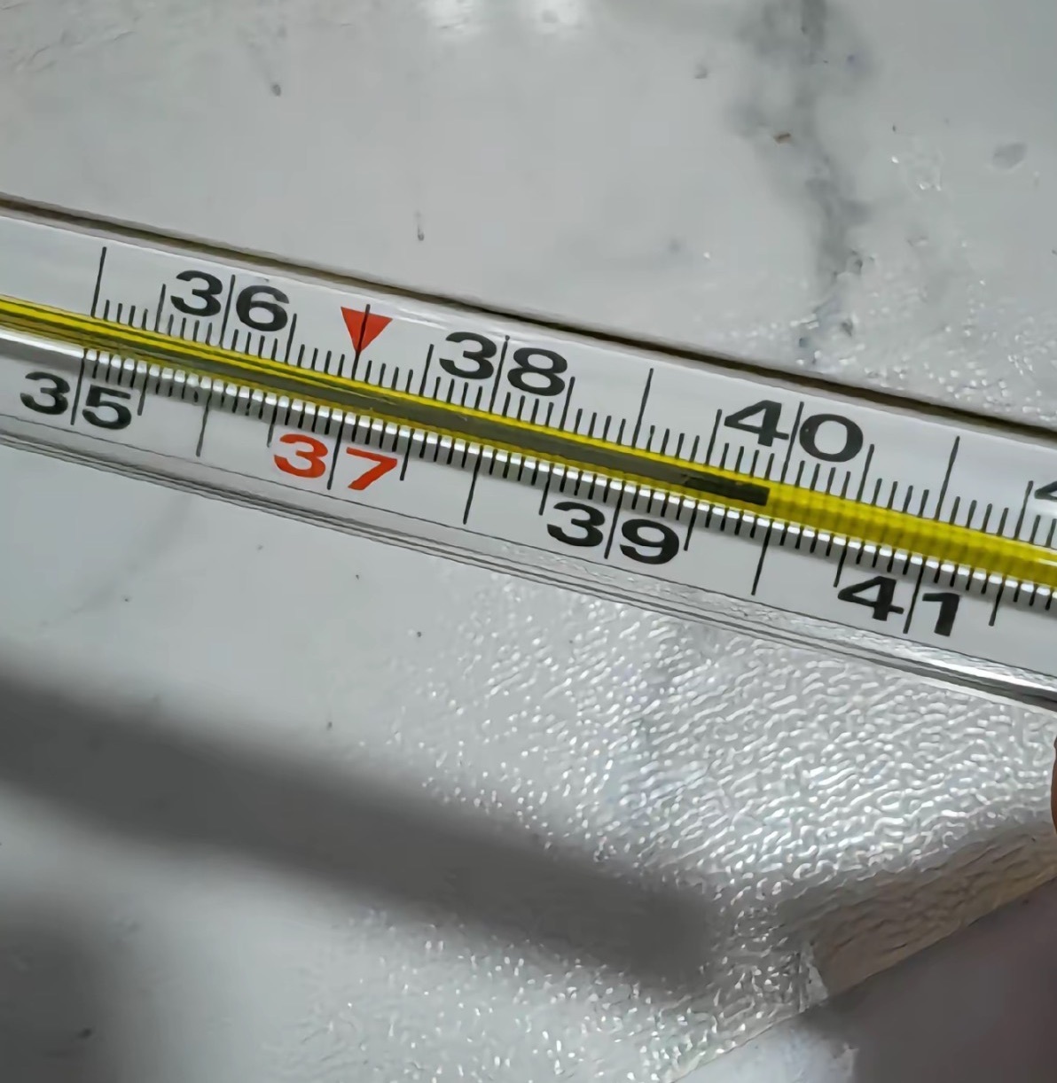 大发（郭碧婷）的图片