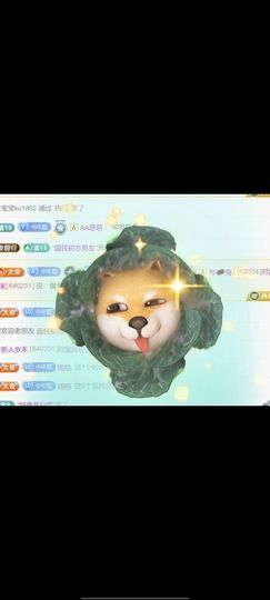 新人岁禾主播照片