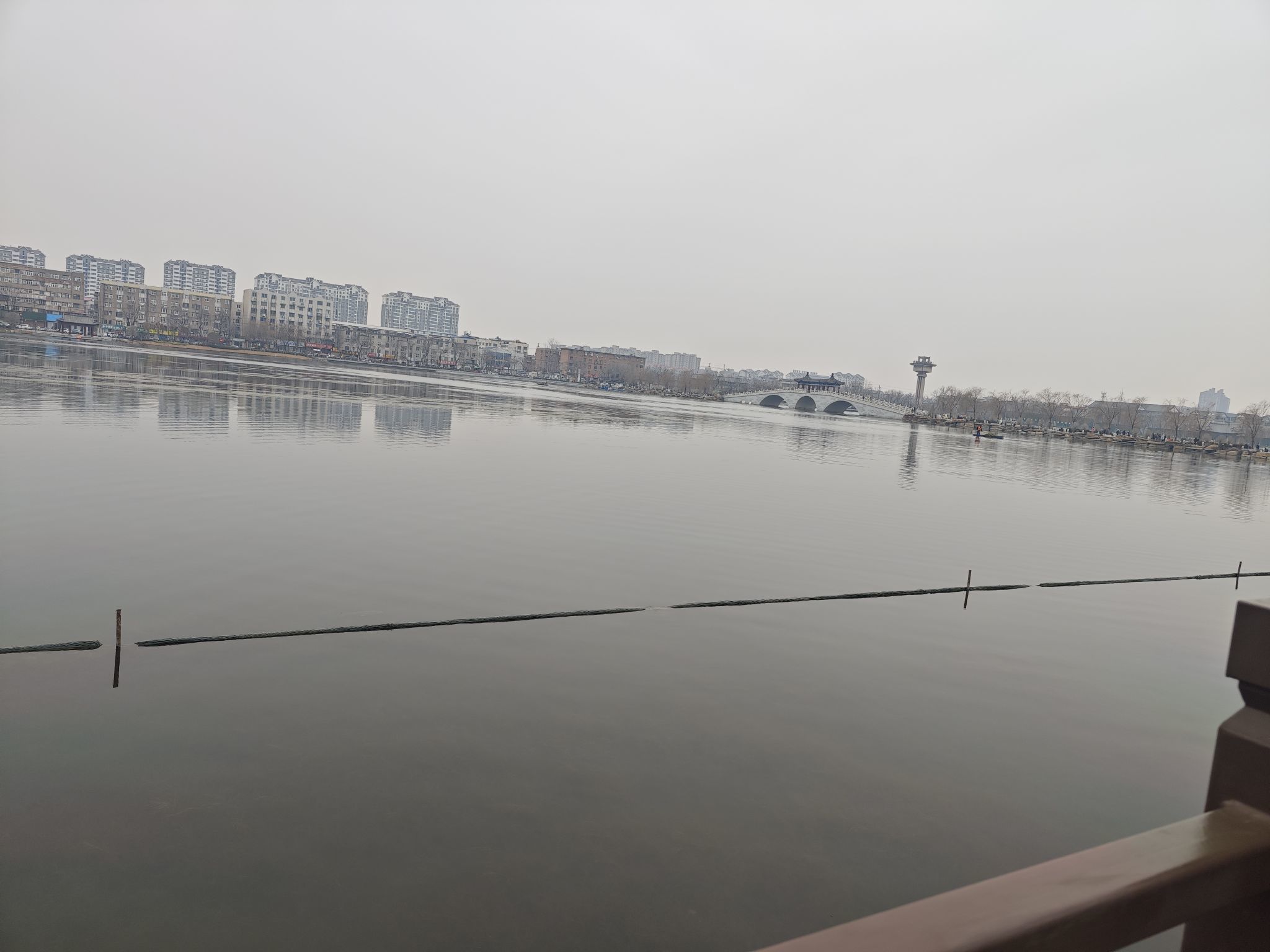 秋叶♥海棠的图片