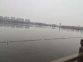 秋叶♥海棠主播照片