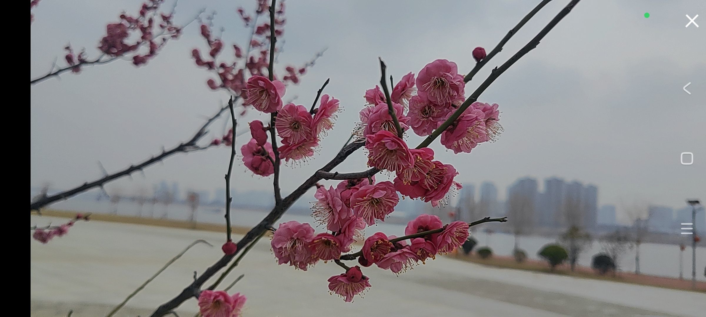 婷婷💕求过月底任务主播图片