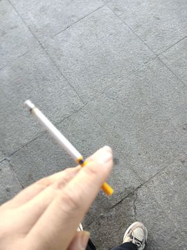 ▒谦恭比索鸟▒主播照片