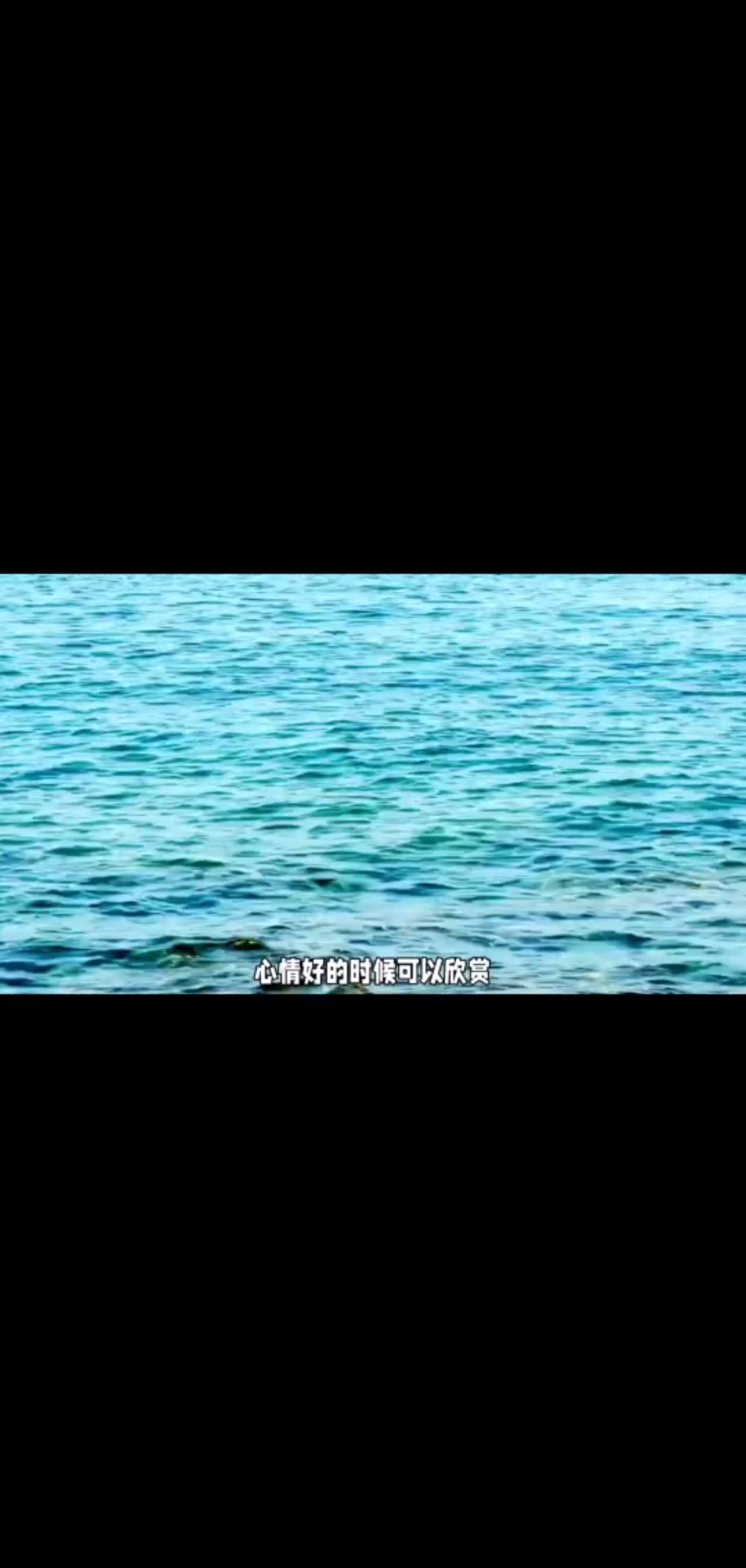 看一遍笑一遍