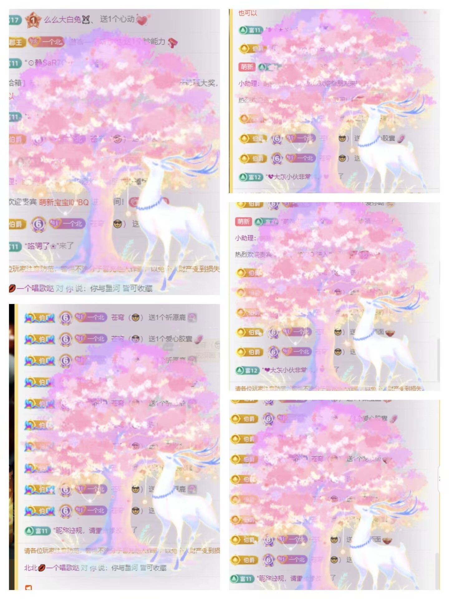 北北💋周年邀您一起的图片