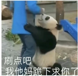 雅欣休息一下💗主播照片