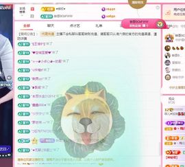 菲儿♥好运来🌈主播照片
