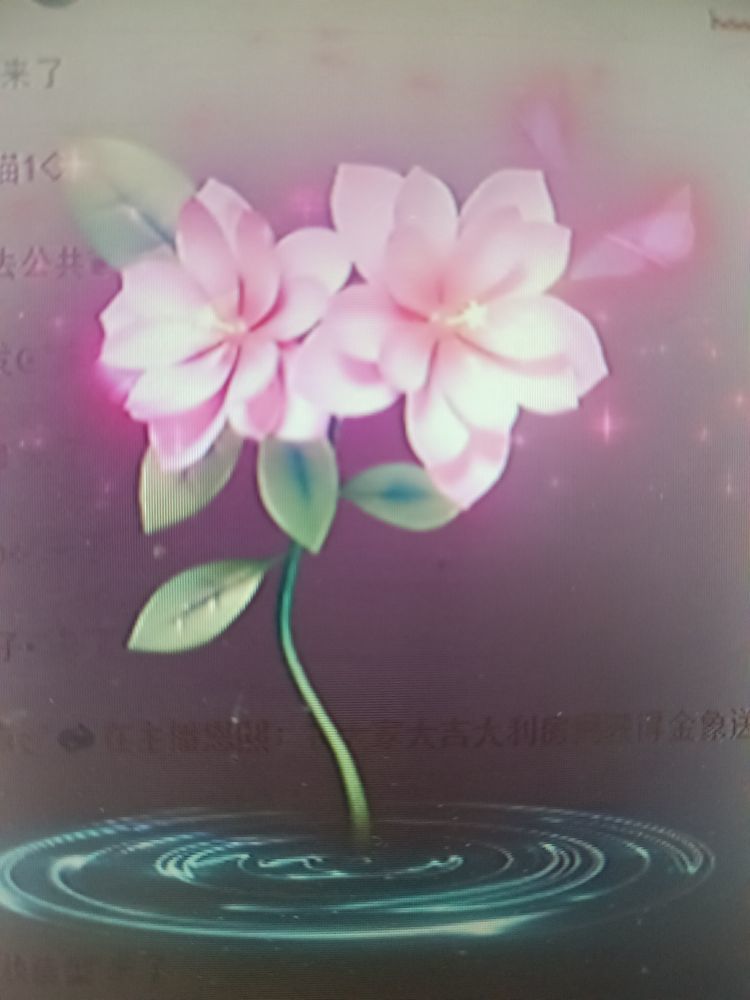 晴儿21主播图片