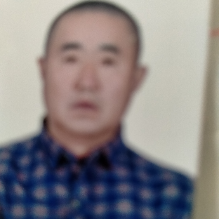 真情永恒0x海报