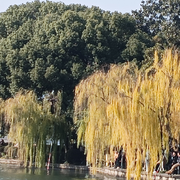 宝回来了的头像